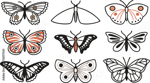 Set of nine black and white illustrated moths with color accents