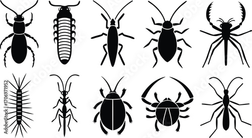 Ten Silhouette Icons of Crawling Insects and Arthropods