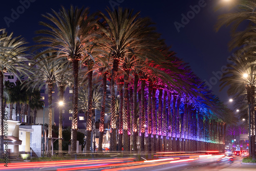 Evening view of illuminated palm trees in the heart of downtown Anaheim, California, USA.