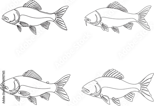 Four Hand Drawn Koi Fish Illustrations in Black and White