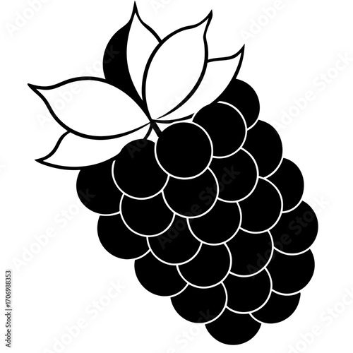 grapes vector illustration