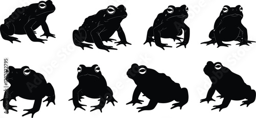Black frog silhouettes in multiple poses, amphibian wildlife vector set, tropical pond animal graphic, jumping and sitting frog illustration, nature design elements collection