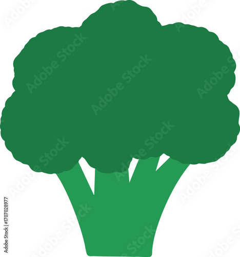 Broccoli vector illustration, healthy food diet icon