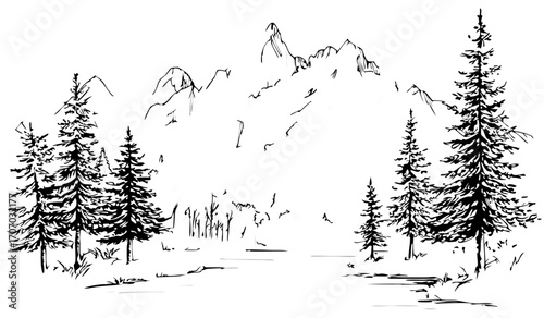 Hand Drawn Mountain Landscape with Tall Pine Trees in Bold Ink Sketch Style for Outdoor Art