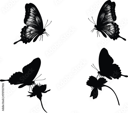 Butterfly silhouettes and floral illustrations in flight and perched poses, insect wildlife vector set, pollinator graphic, nature garden design elements collection