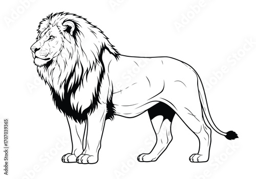 Illustration of majestic lion standing profile view