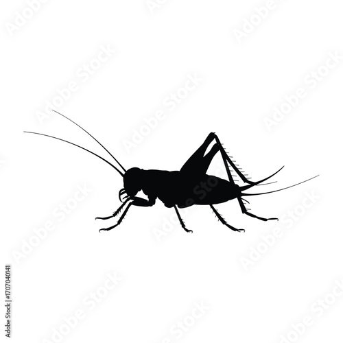 Silhouette of a cricket with long antennae and powerful hind legs on a white background