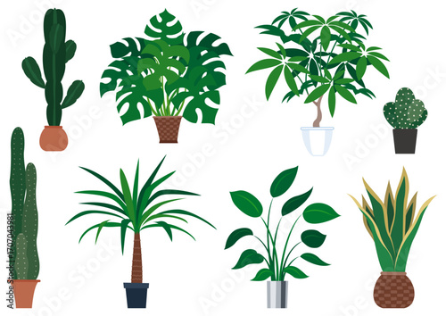 Collection of diverse potted plants including cacti, monstera, palm, and snake plant, arranged in a row.