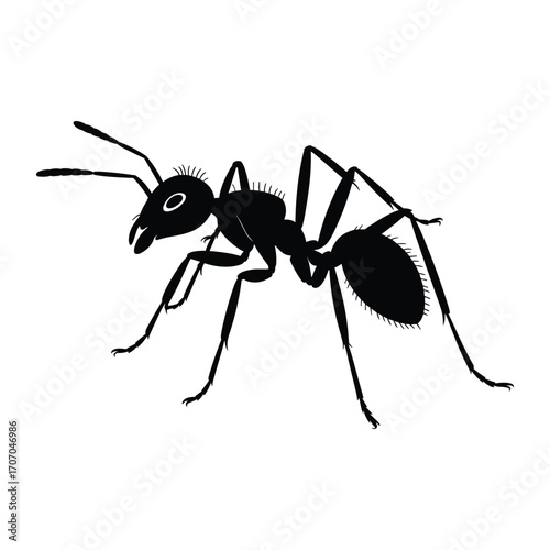 Detailed silhouette of a black ant with prominent antennae and legs
