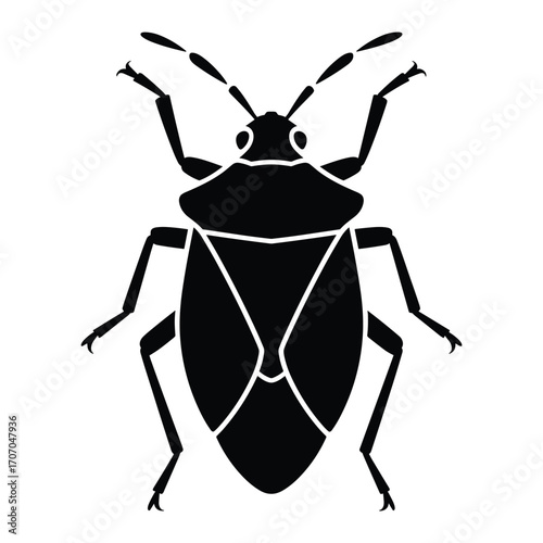 Black silhouette of a stink bug with detailed wing patterns on a white background