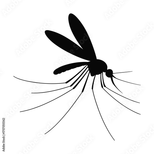 Silhouette of a mosquito with long legs and wings in flight