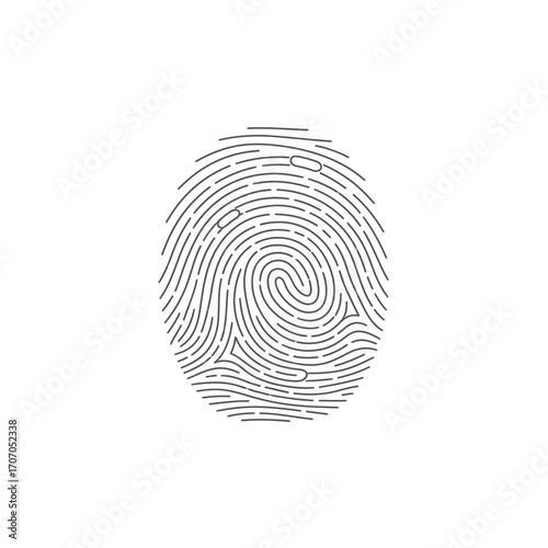 Fingerprint pattern with detailed lines and swirls isolated on white background for security purposes