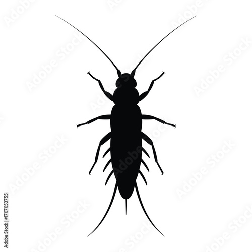 Silhouette of a long bodied insect with prominent antennae and legs against a white background