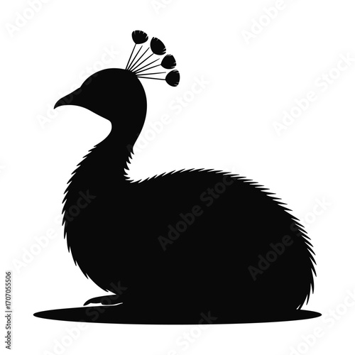 Silhouette of a majestic peacock with a distinctive crown of feathers sitting gracefully