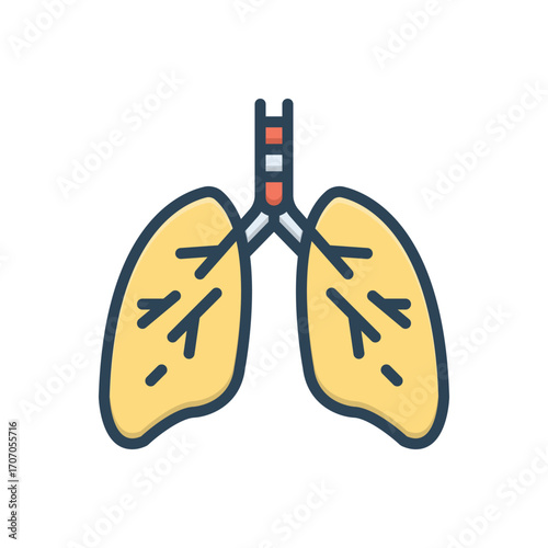Color illustration icon for lungs