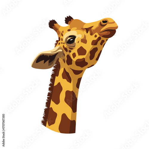 A close-up illustration of a giraffe's head and neck, showcasing its distinctive patterned coat and ossicones.