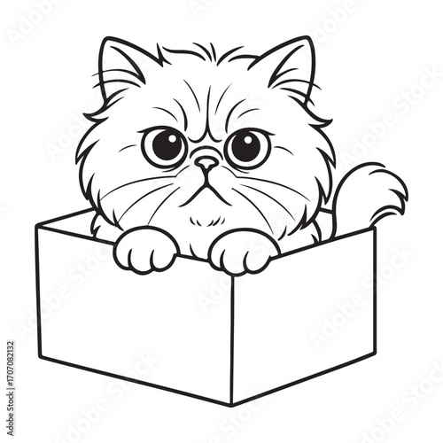Line art of persian cat staying in the box cartoon vector