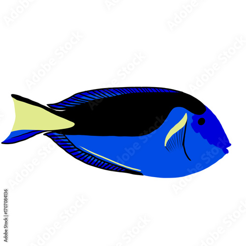 Oceanlife animal fishes illustration Under the sea Marine Life Cute Hand drawing Illust Graphic sticker Scuba Diving snockeling Underwater Friends