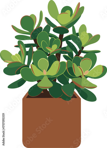 Jade Plant in Brown Pot with Lush Green Succulent Leaves, Modern Botanical Indoor Accent for Minimalist Home Decor, Fresh Nature Arrangement, and Stylish Living Space Design