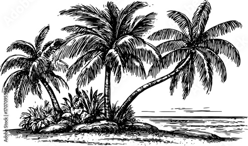 Vintage engravings of palm trees on an island. Detailed line art illustration in black and white, perfect for a vector set.
