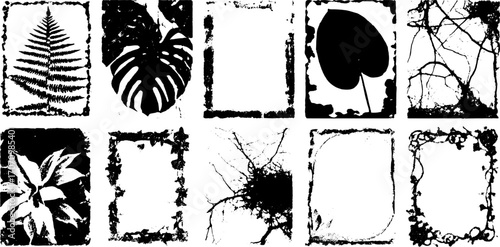 Set of botanical leaves and plants in black and white. Textured silhouette designs showcase natural beauty in a vector illustration.