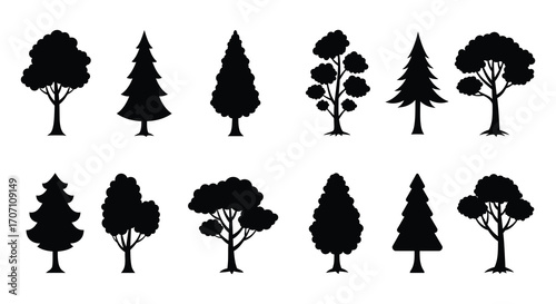 Collection of Tree Silhouettes for Forest Design Elements and Nature Illustrations