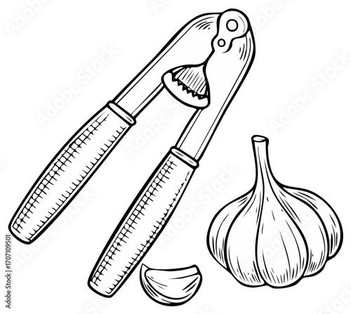 Black and white hand-drawn illustration of a garlic press with a fresh garlic bulb and a single clove