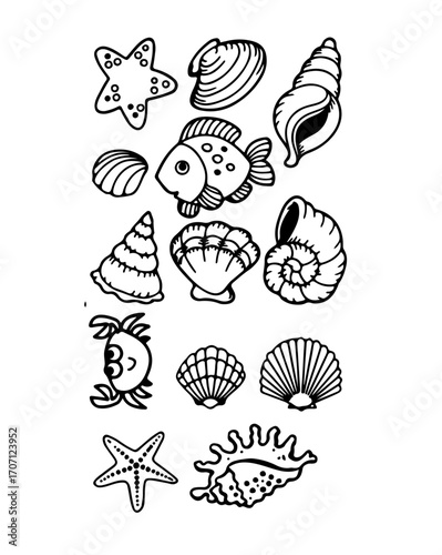 Hand drawn seashells and sea creatures create a charming summer seaside design element