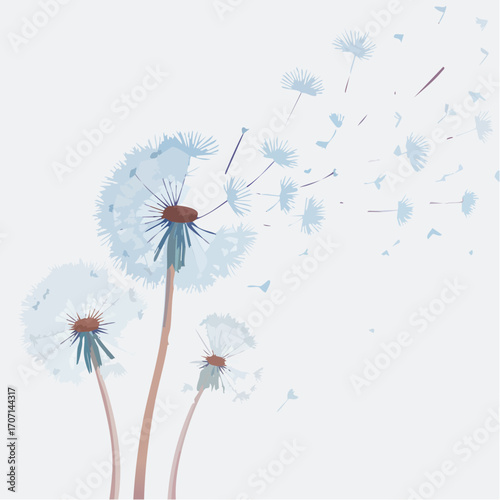 Three delicate dandelion clocks releasing seeds on a gentle breeze.