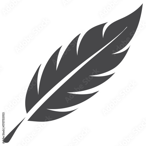 Stylized gray feather with central vein, avian plumage, writing quill and abstract design element