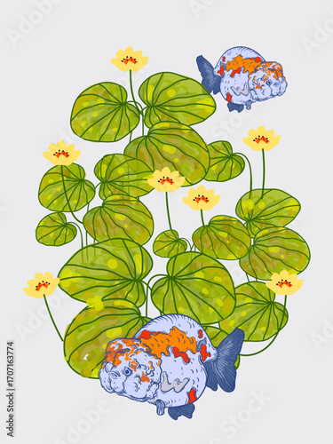 Beautiful Koki fish, goldfish on water hand drawing vector illustration. Asian fish animal symbol.