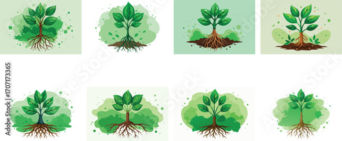 Collection of Growing Plant Illustrations with Roots and Green Leaves on Light Green Backgrounds