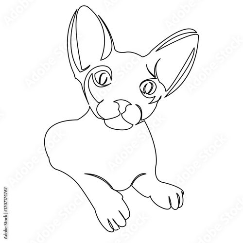 One continuous single drawing line art flat doodle sphinx, cat, hairless, sphynx, feline, animal, kitten, eye, domestic. Isolated image hand draw contour on a white background
