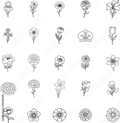 Set of Botanical Flower and Floral Bloom Vector Icons