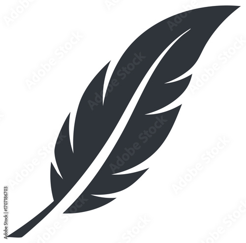 Elegant Feather Illustration with Delicate Barb Details in Dark Gray