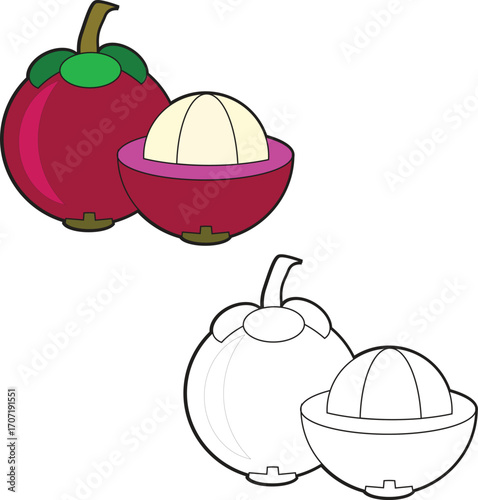 Mangosteen fruiting or Garcinia mangostana easy coloring page book for kids activity
