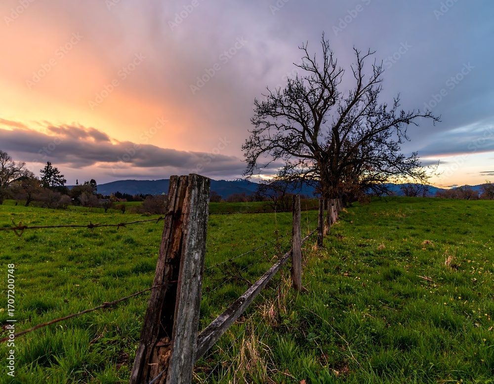 Obraz premium Rustic sunset over a grassy field
