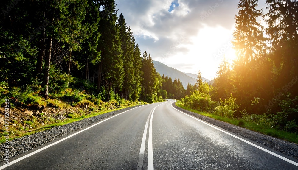 Fototapeta premium Winding road through a lush forest at sunset