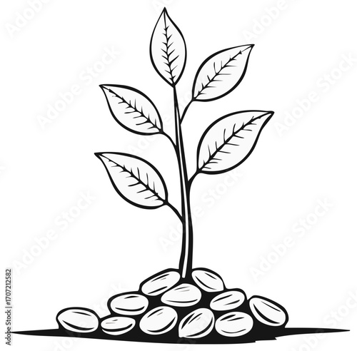 Stylized Sprout Growing from Seeds, Line Art Illustration on White Background
