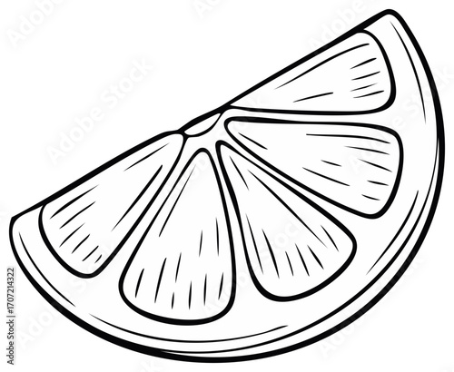 Hand drawn citrus wedge illustration in a black and white line art style