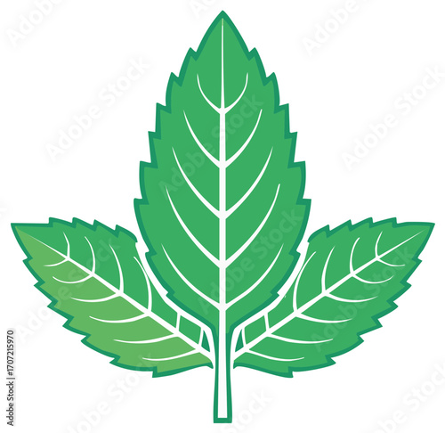 Three leaf logo featuring herbal greenery with vibrant colors and organic nature depiction