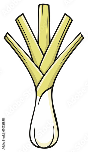 Cartoon illustration of lemongrass stalk with detailed outline and shading
