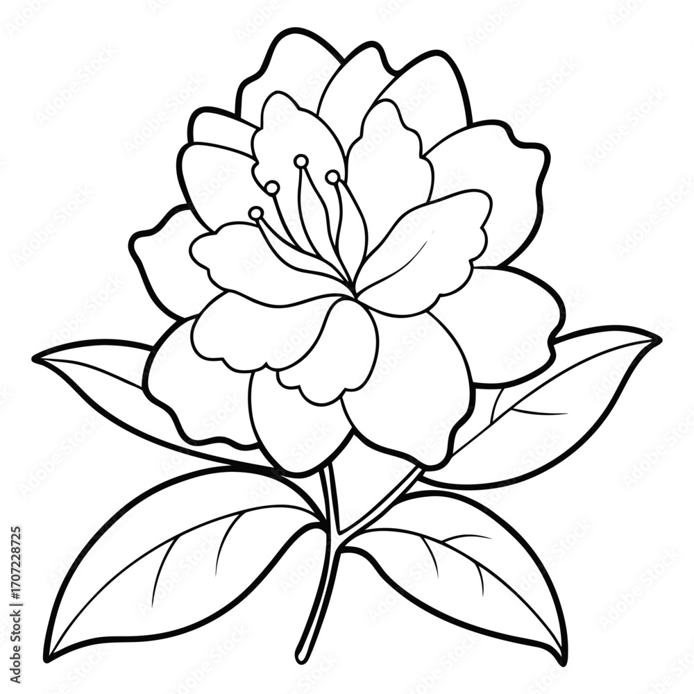 Fototapeta premium rhododendron macrophyllum line art vector on whitebackground