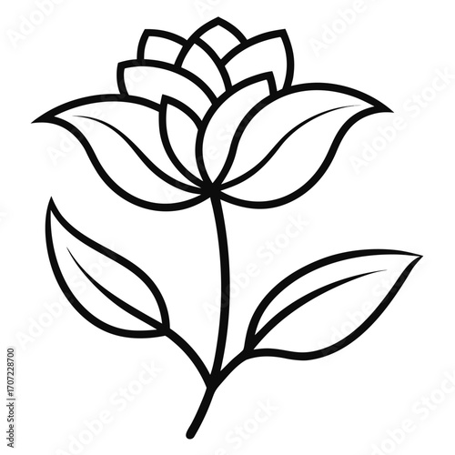 rape kiel line art vector on white  background