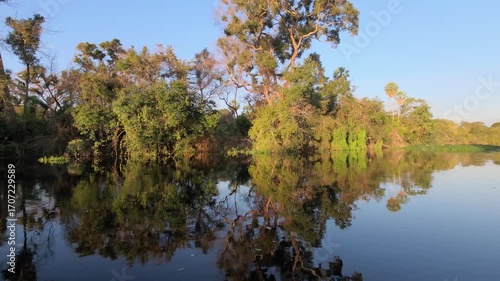 Lush green scenery of the Pantanal wetlands with perfect reflections in the water. Pocone, Mato Grosso do Sul, Brazil. Brazilian nature and wilderness.