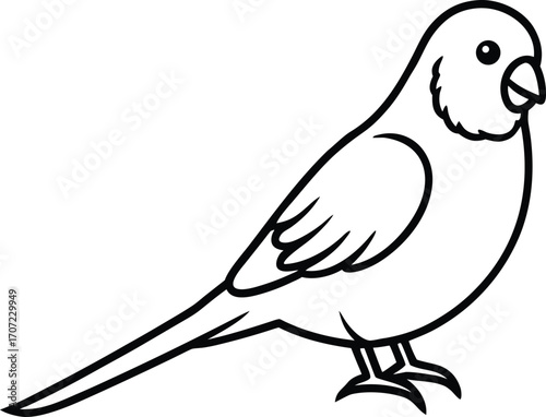 Vector art of simple black and white line drawing of a small bird, possibly a canary or finch, standing on its feet with its tail extended, isolated on a