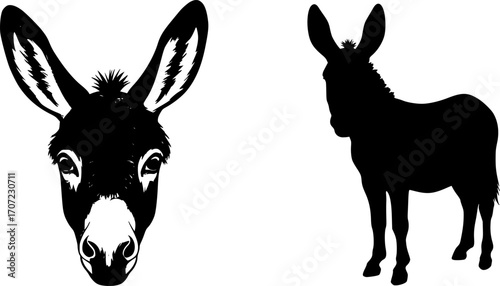 Illustration showing a donkey face and a donkey silhouette in black and white color scheme design editable vector eps/eps
