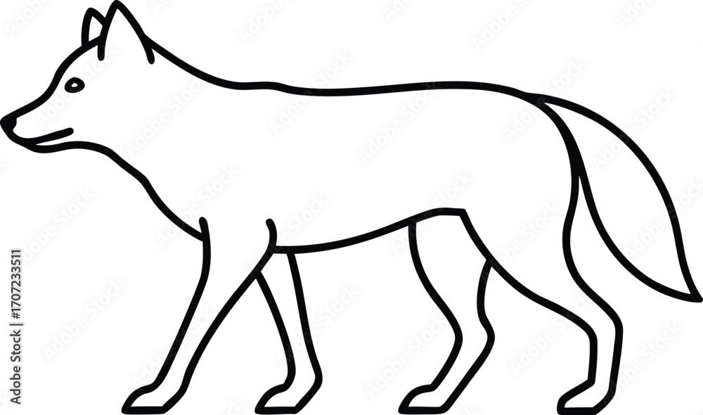 Fototapeta premium Vector art of simple line drawing of a coyote walking