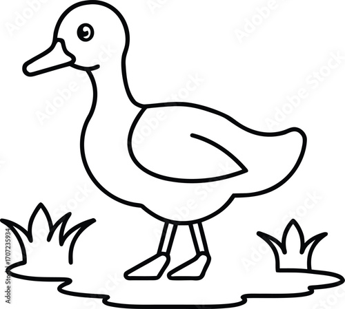 Vector art of simple line drawing of a duck standing in grass, suitable for coloring or educational purposes