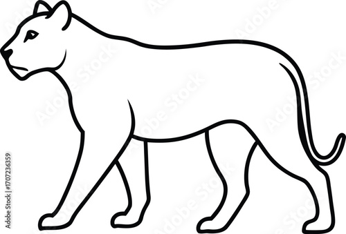 Vector art of stylized outline illustration of a lioness walking